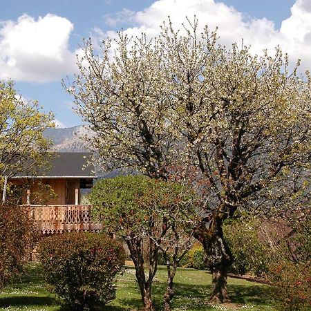 Le P'Tit Chalet De La Fressine Alex Esterno foto