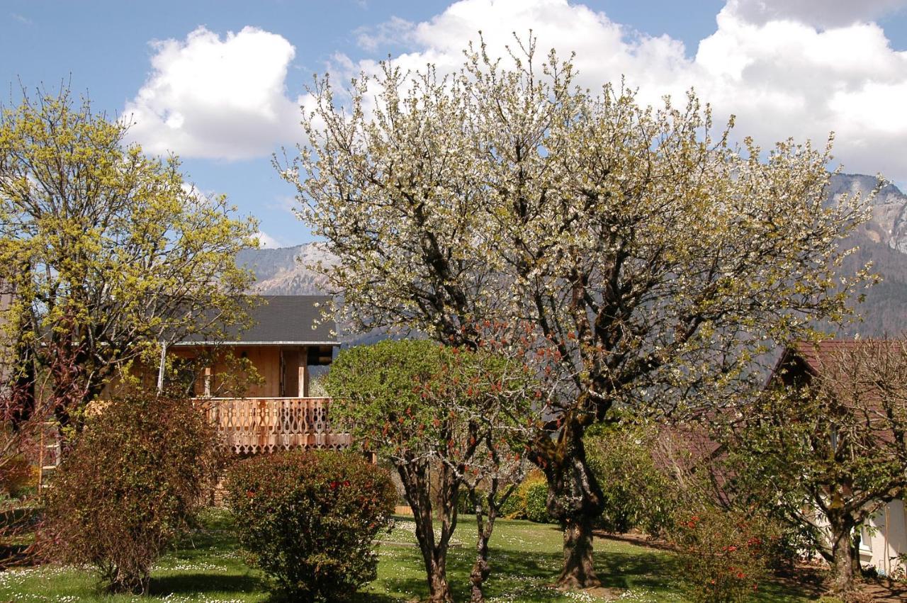 Le P'Tit Chalet De La Fressine Alex Esterno foto